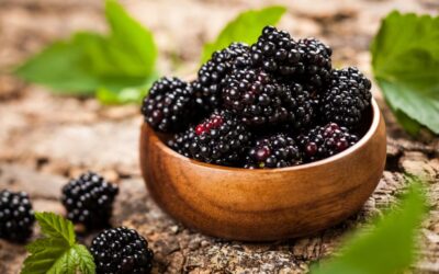 Exploring the Rich Symbolism of Blackberries